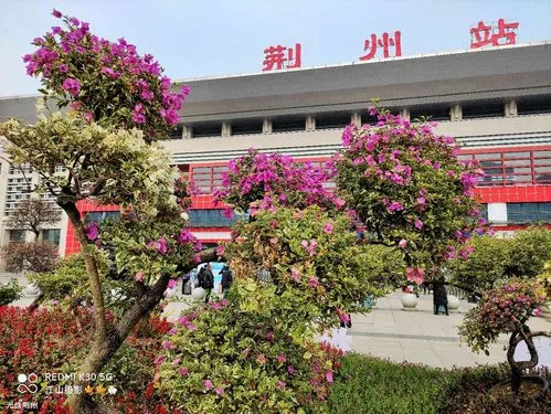 邯鄲到荊州貨運公司-物流專線全境/派送-平通物流