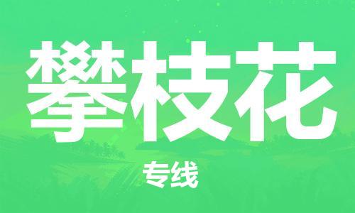 邯鄲到攀枝花物流專線-貨運(yùn)直達(dá)-直送各區(qū)域-專業(yè)物流管理服務(wù)