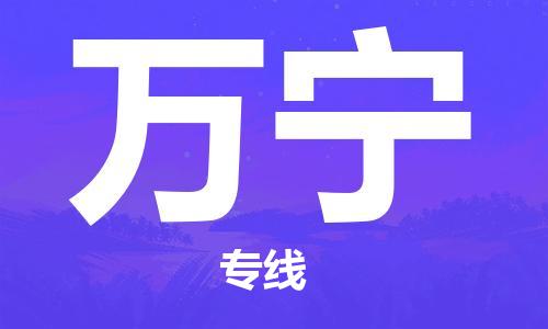 邯鄲到萬寧物流公司-邯鄲至萬寧貨運客戶至上定制服務|可靠、經(jīng)濟實惠