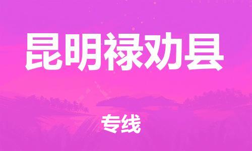 邯鄲到昆明祿勸縣物流公司-跨省搬家運輸專線-直達不中轉(zhuǎn)
