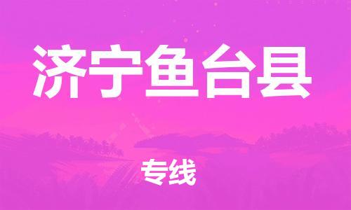 邯鄲到濟(jì)寧魚臺縣物流專線-消費(fèi)品運(yùn)輸專線-價(jià)格實(shí)惠